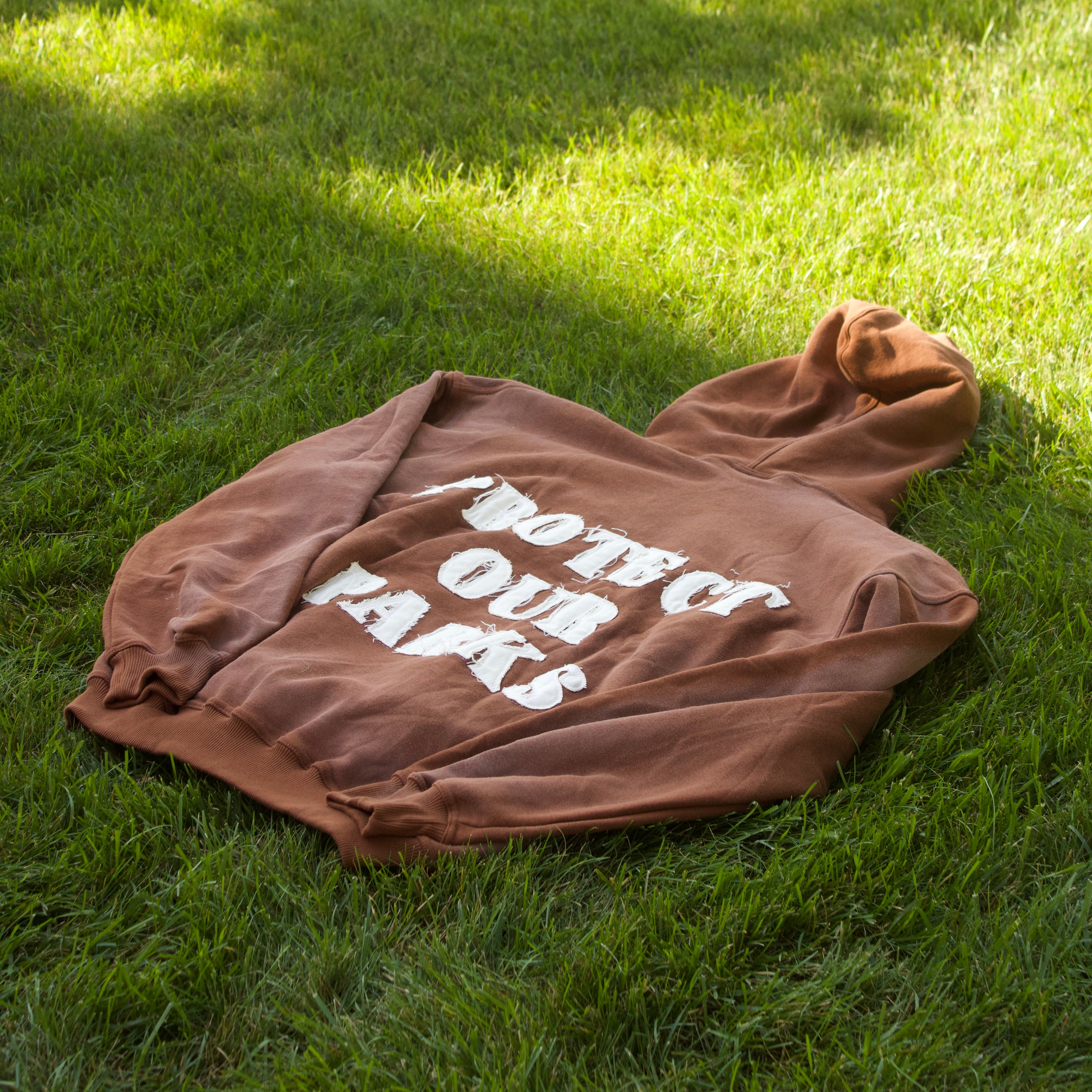 *PREORDER* Protect Our Parks Hoodie “Cedar”